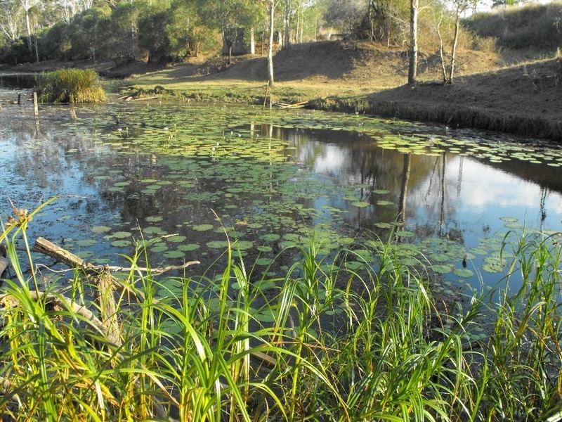 Gundiah QLD 4650