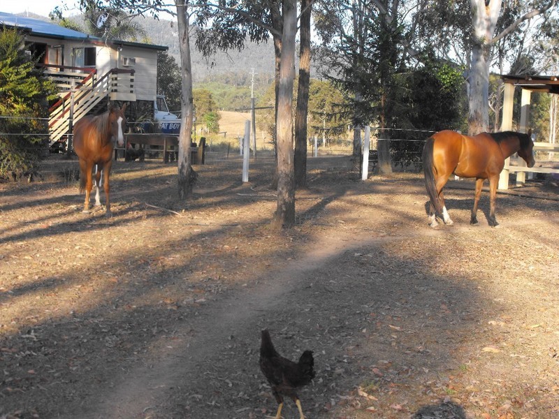 Gundiah QLD 4650