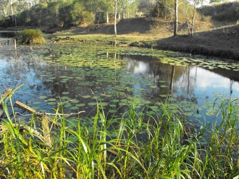 Gundiah QLD 4650