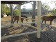 Gundiah QLD 4650