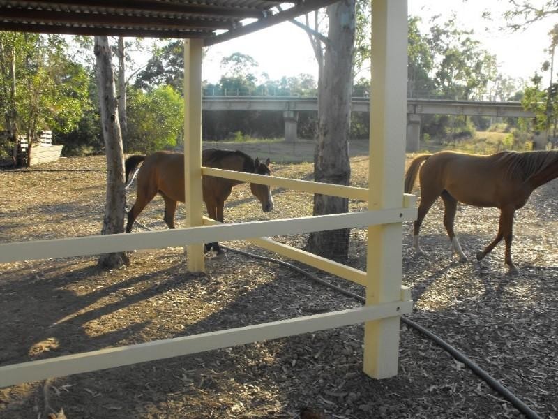 Gundiah QLD 4650