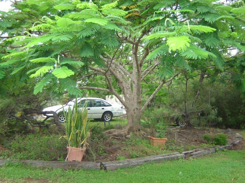 Maryborough QLD 4650