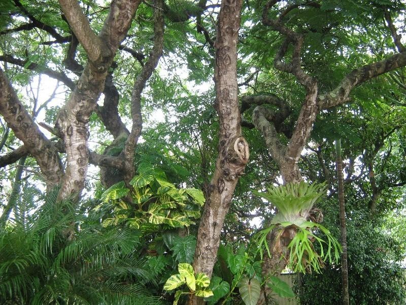 14 Meredith Street, Maryborough QLD 4650