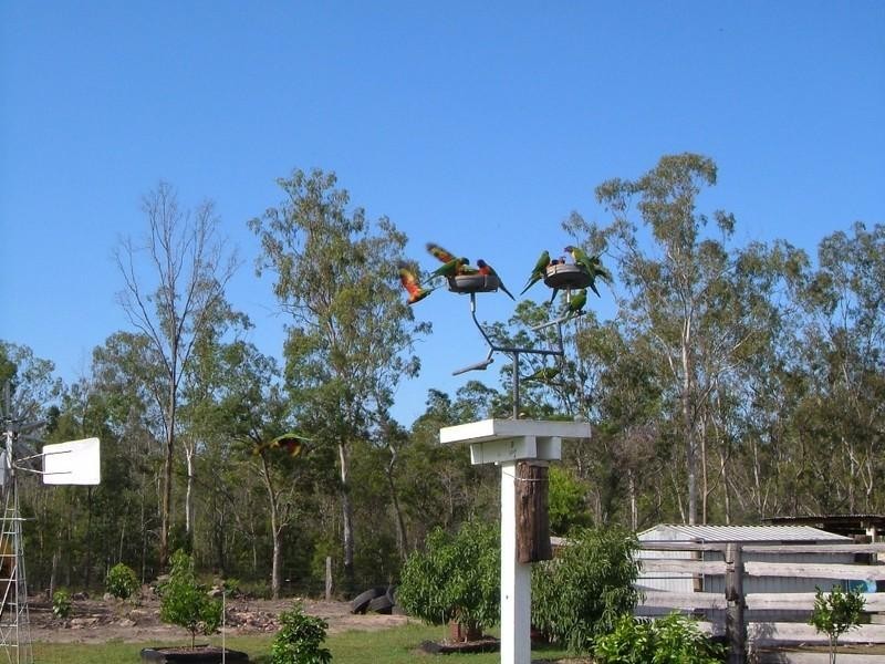 2305 Musket Flat Road, Doongul QLD 4620