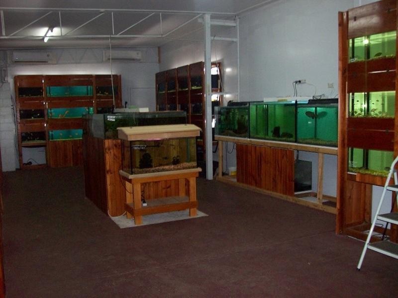 93 Bazaar Street, Maryborough QLD 4650