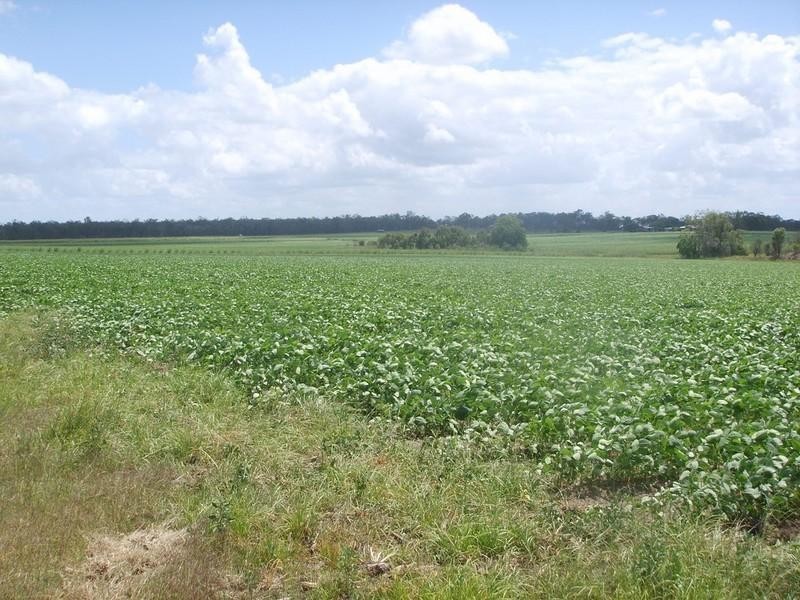 Lot 1 Quarry Road, Aldershot QLD 4650