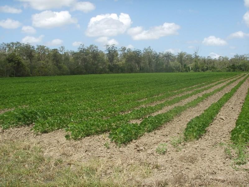 Lot 1 Quarry Road, Aldershot QLD 4650