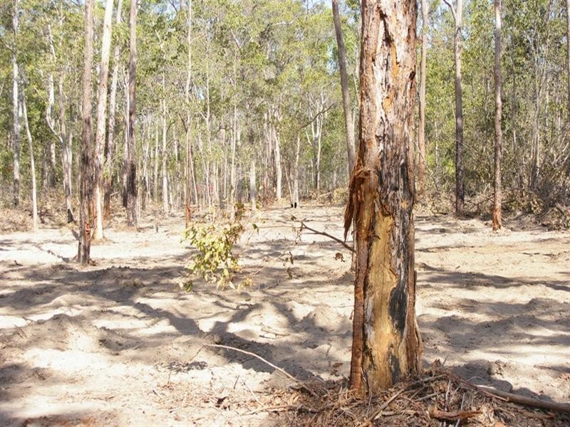 20 Yangoora Avenue, Maryborough QLD 4650