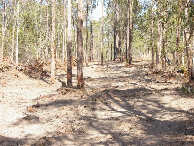 20 Yangoora Avenue, Maryborough QLD 4650