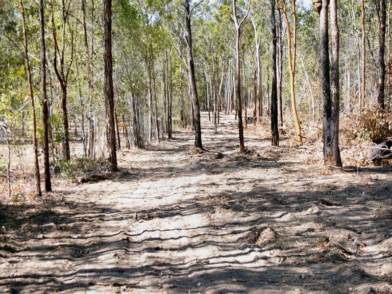 20 Yangoora Avenue, Maryborough QLD 4650