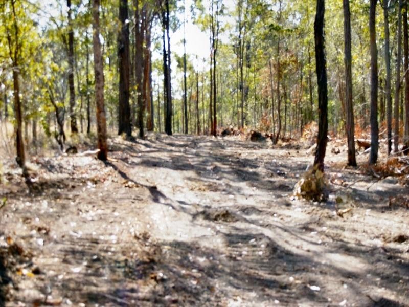 20 Yangoora Avenue, Maryborough QLD 4650