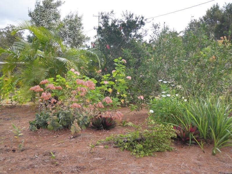 43 Cockatoo Crescent, Poona QLD 4650