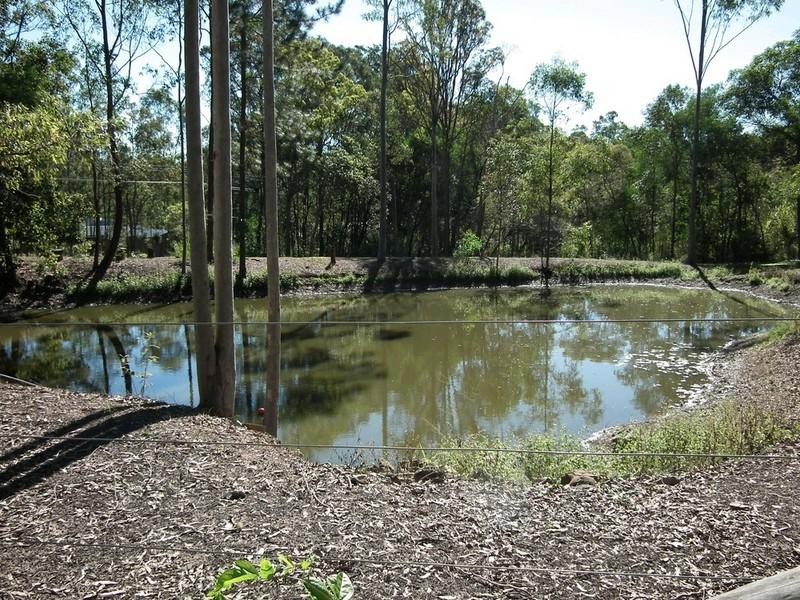 81 Springvale Road, Tinana QLD 4650