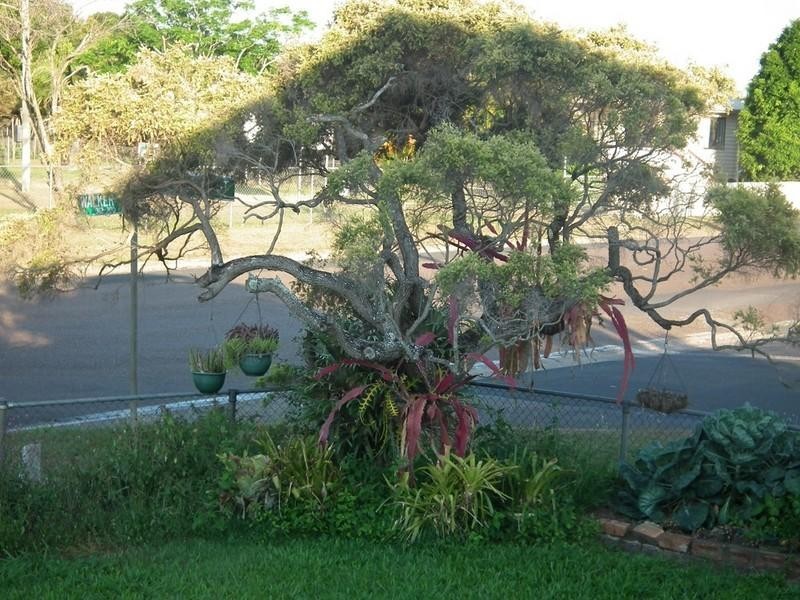 300 Walker Street, Maryborough QLD 4650