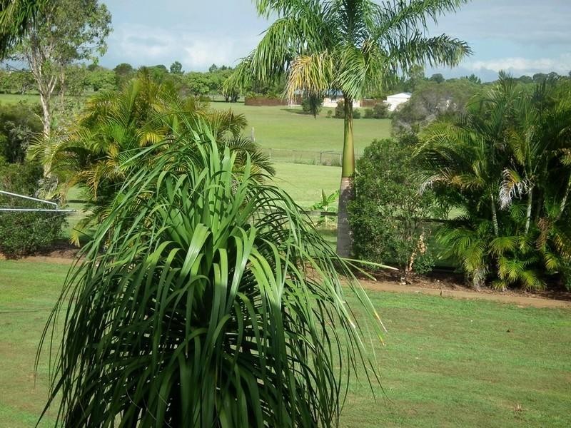 187 Bosel Road, Tinana QLD 4650