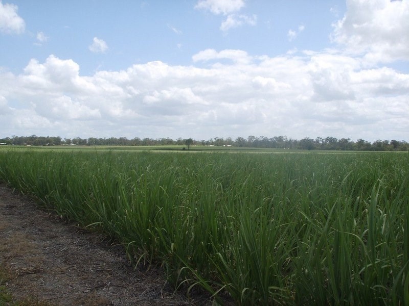 Lot 1 Quarry Road, Aldershot QLD 4650