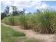 Lot 1 Quarry Road, Aldershot QLD 4650