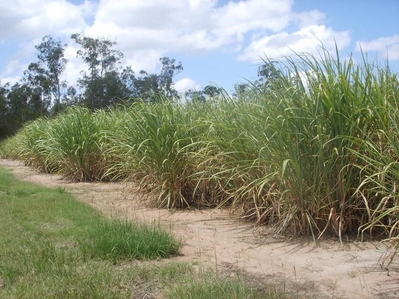 Lot 1 Quarry Road, Aldershot QLD 4650