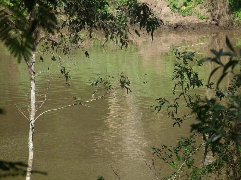 6 Mclaughlin Road, Maryborough QLD 4650