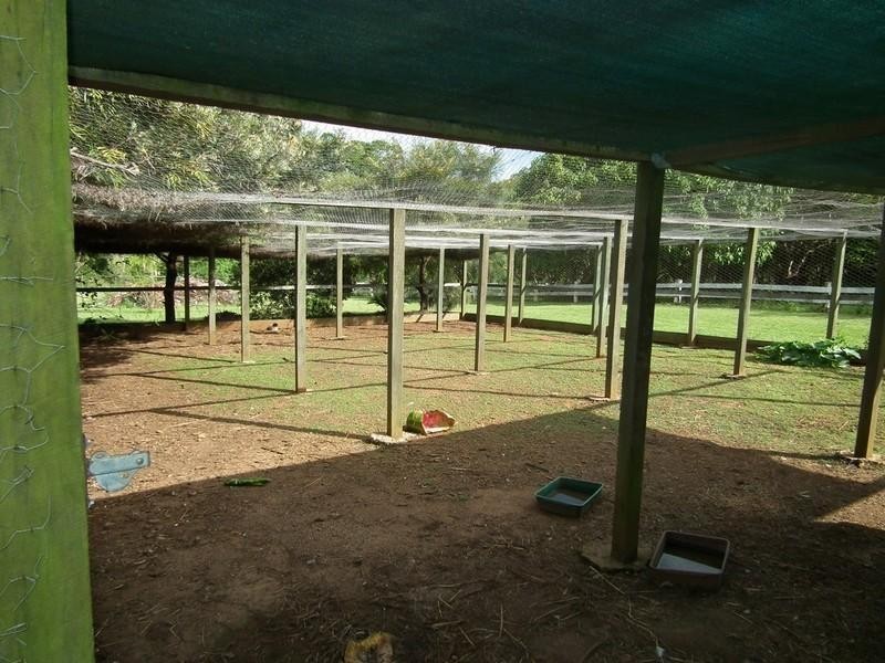 187 Bosel Road, Tinana QLD 4650