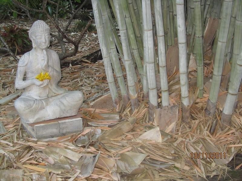 10 Keetje Road, Bauple QLD 4650