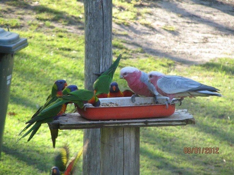 10 Keetje Road, Bauple QLD 4650