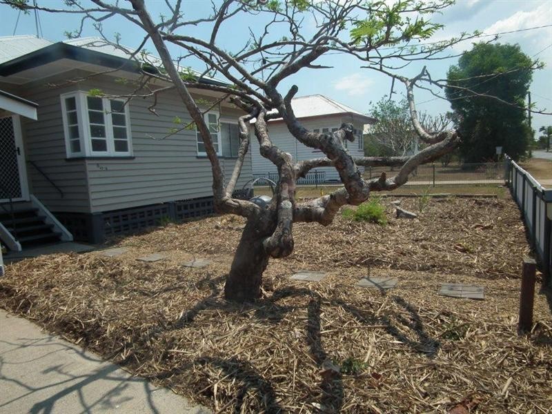 604 Kent Street, Maryborough QLD 4650