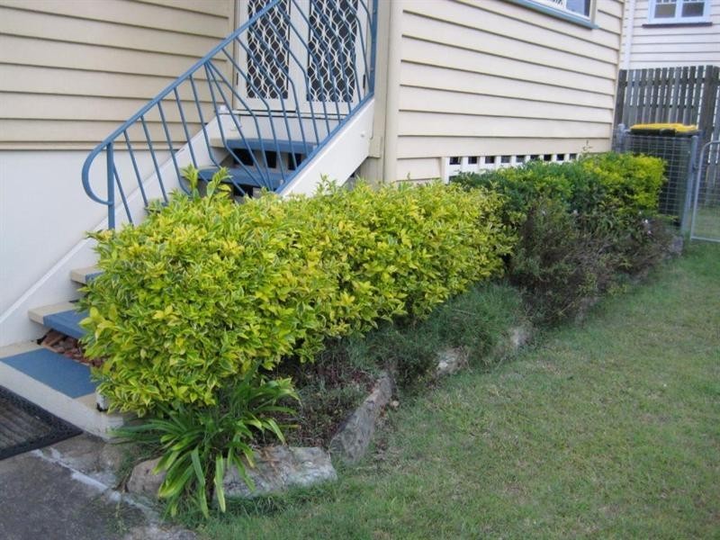 6 Scott Street, Maryborough QLD 4650