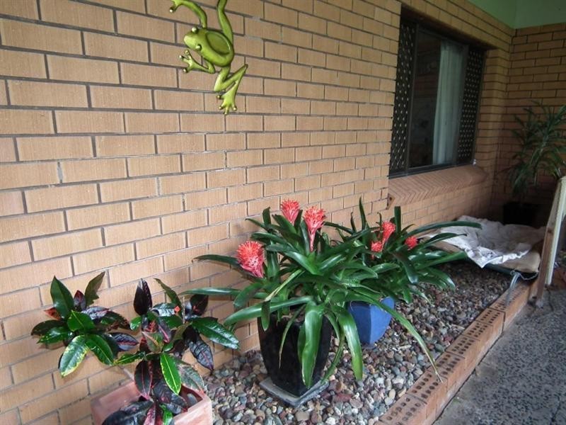 54 Buchanan Street, Tinana QLD 4650