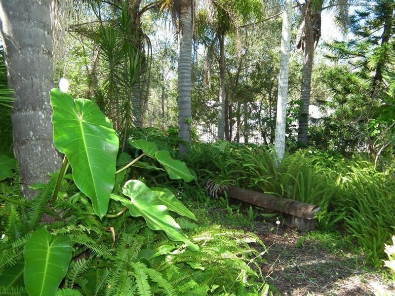 95 Old Gayndah Road, Maryborough West QLD 4650