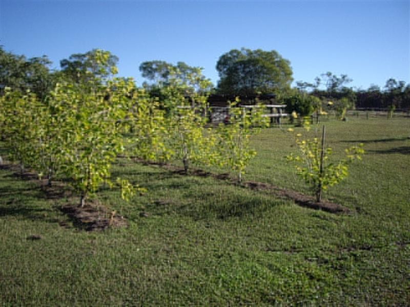 95 Old Gayndah Road, Maryborough West QLD 4650
