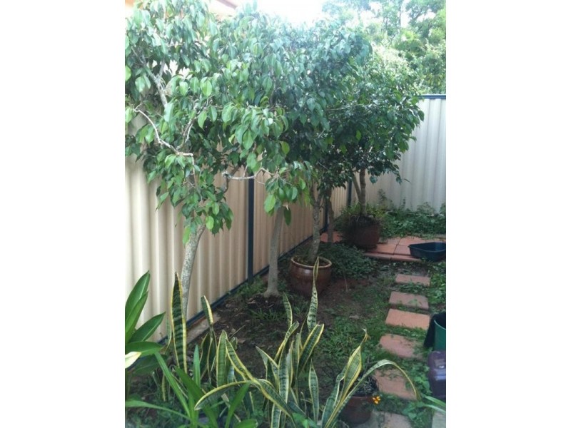 12 Jocelyn Parade, Granville QLD 4650