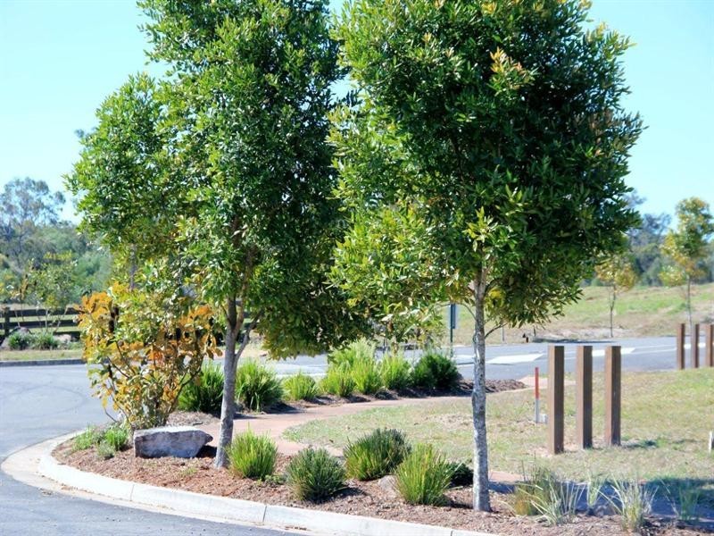 193 Nagel Street, Oakhurst QLD 4650