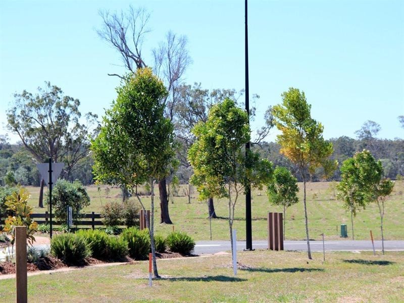 193 Nagel Street, Oakhurst QLD 4650