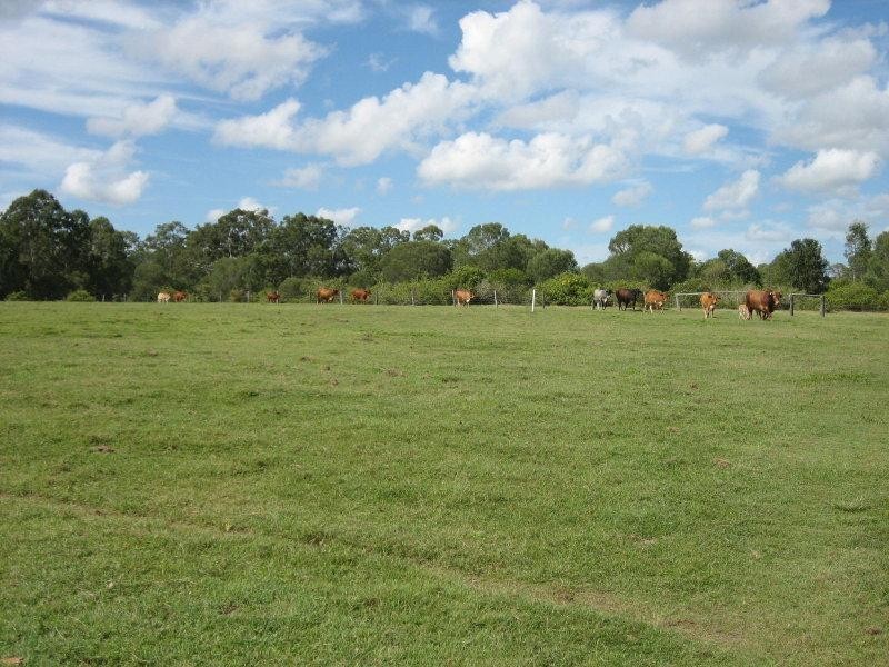 Lot 1 One Eighty Five Road, Howard QLD 4659