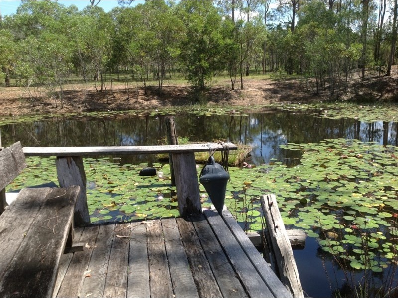 362 Old Gayndah Road, Dunmora QLD 4650