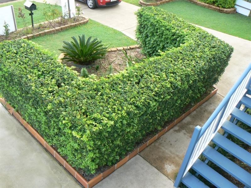 233 Albert Street, Maryborough QLD 4650