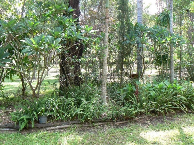 11 Berallan Drive, Tinana QLD 4650