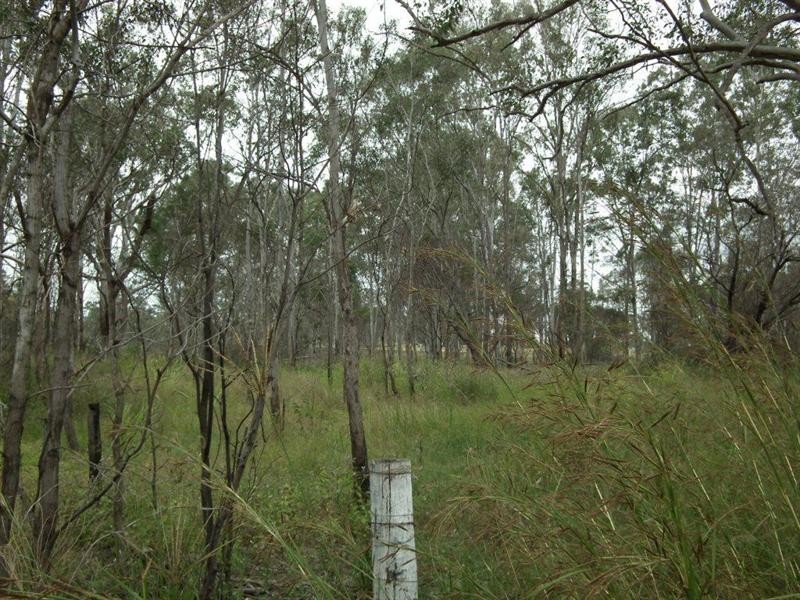 Lot 2 Vine Street, Bidwill QLD 4650
