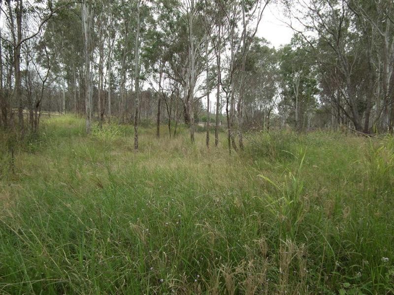 Lot 2 Vine Street, Bidwill QLD 4650