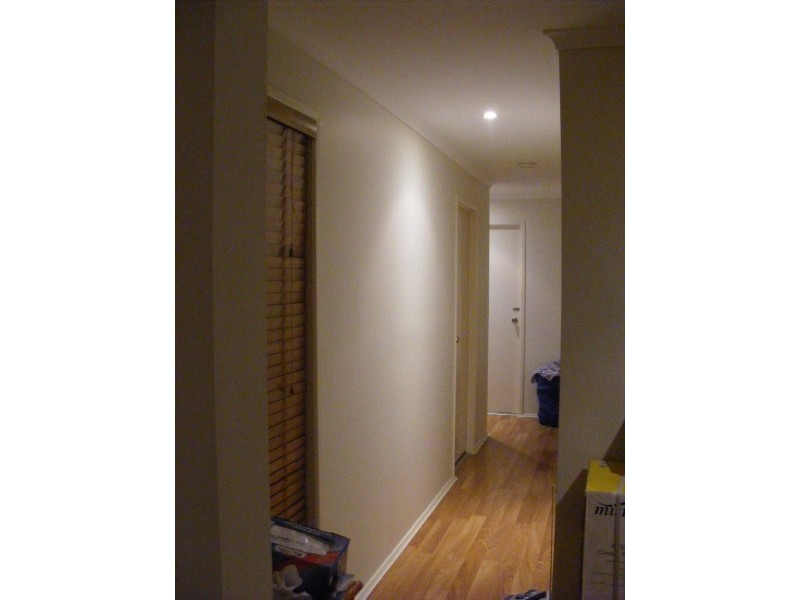 7 Universal Street, Oxenford QLD 4210