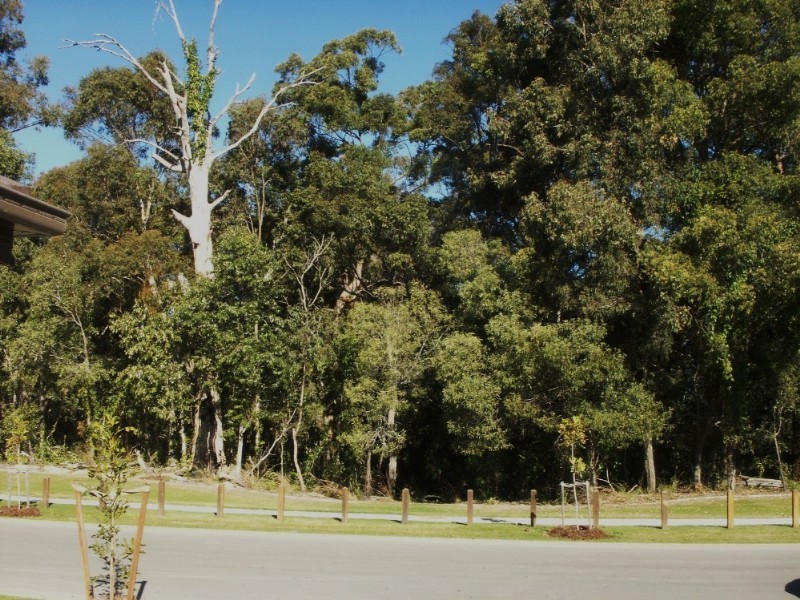 14 Wings Road, Upper Coomera QLD 4209