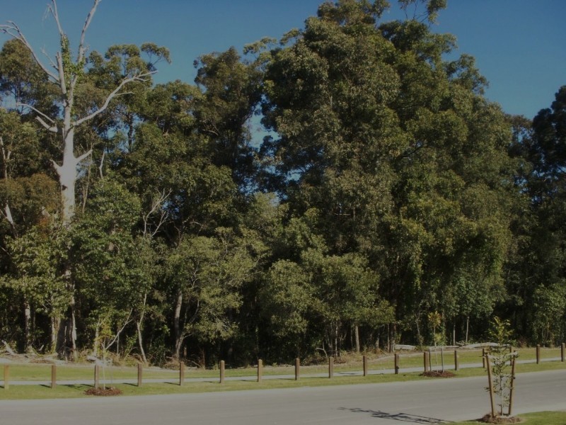 14 Wings Road, Upper Coomera QLD 4209