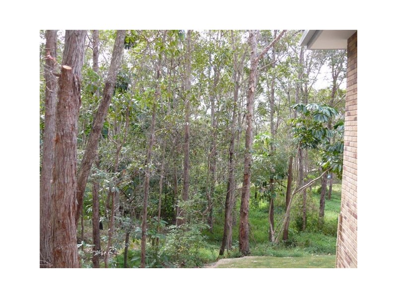 16 Jesmond Road, Helensvale QLD 4212