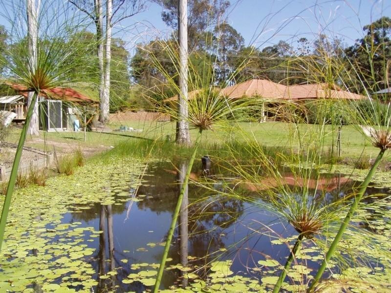 23 Howard Hughes Court, Maudsland QLD 4210