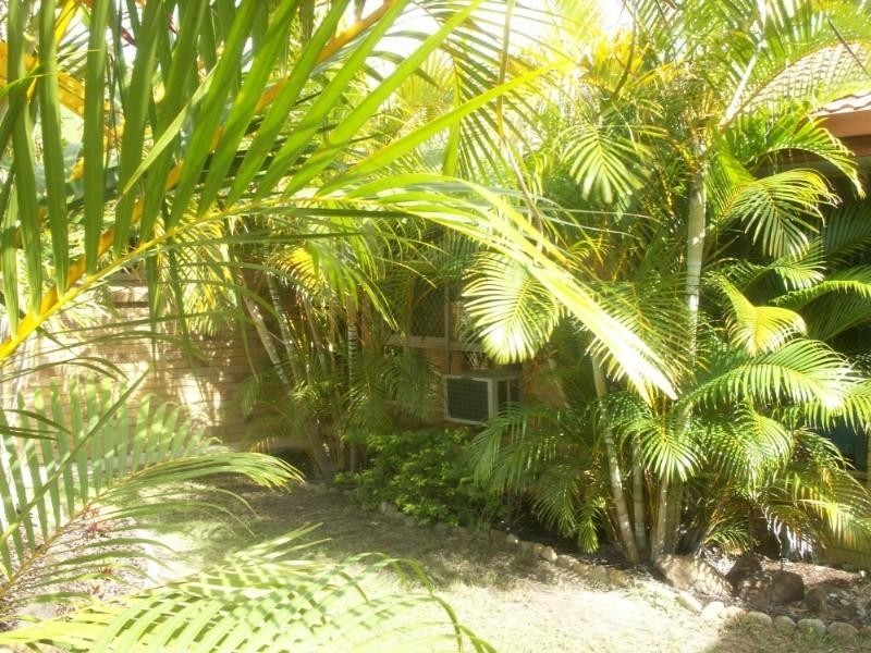 1/46 Kangaroo Avenue, Coombabah QLD 4216