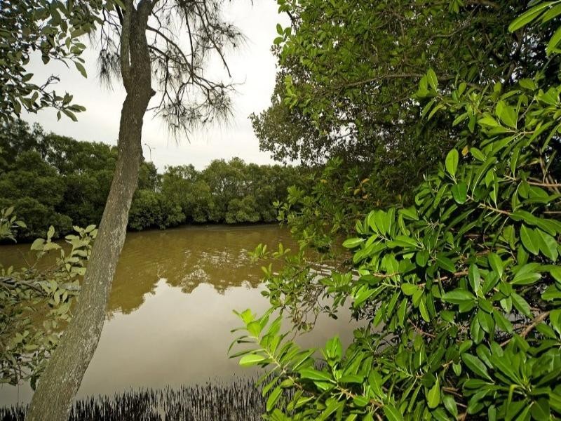 38 Riverdowns Crescent, Helensvale QLD 4212