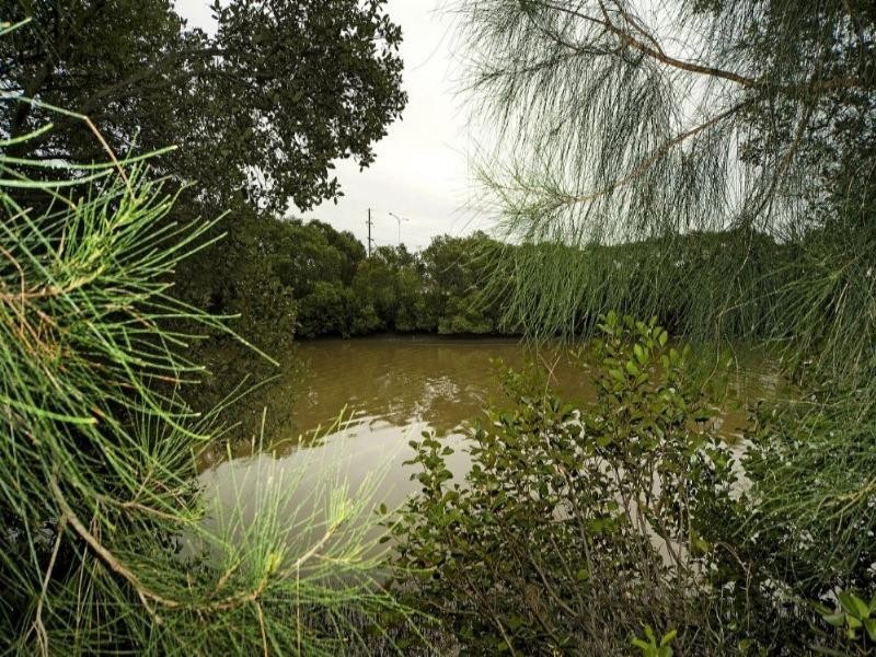 38 Riverdowns Crescent, Helensvale QLD 4212