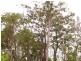 Helensvale QLD 4212