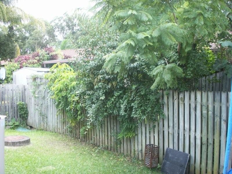 5/11 Kingaroy Avenue, Helensvale QLD 4212